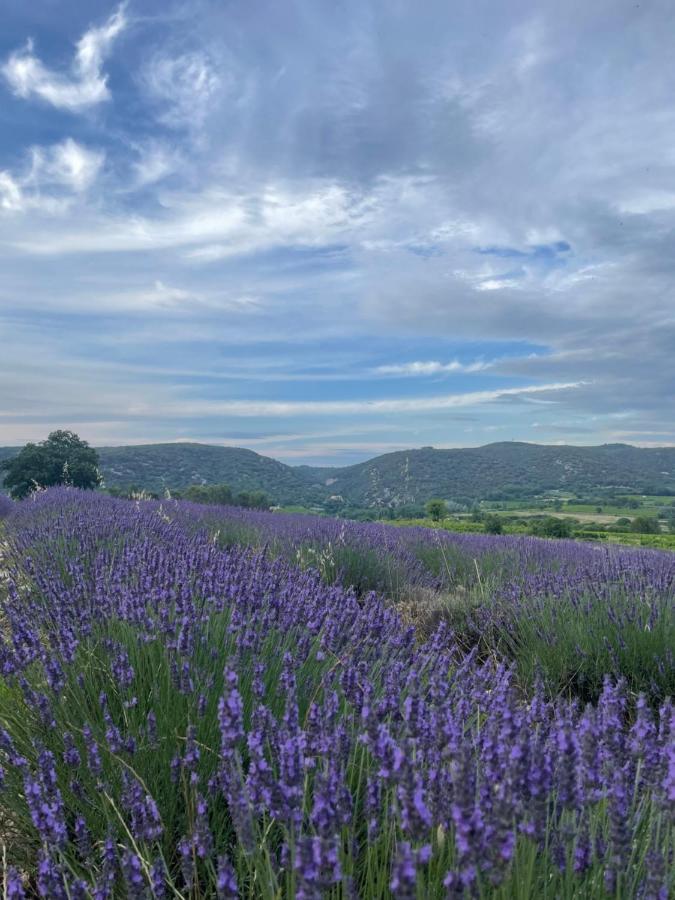 Gite Passiflore Frigoulet Exterior foto